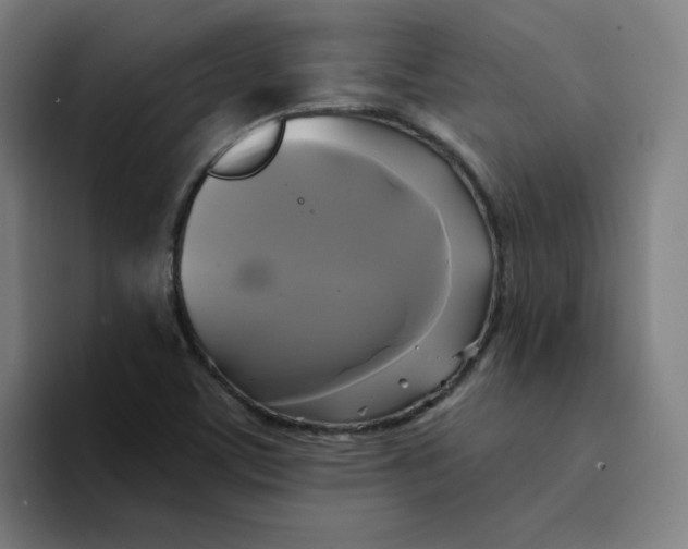 X0000094221459200711161839