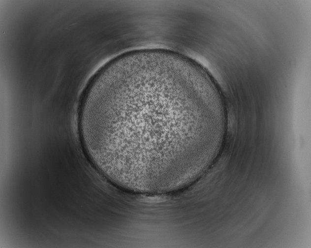 X0000094221460200711161839