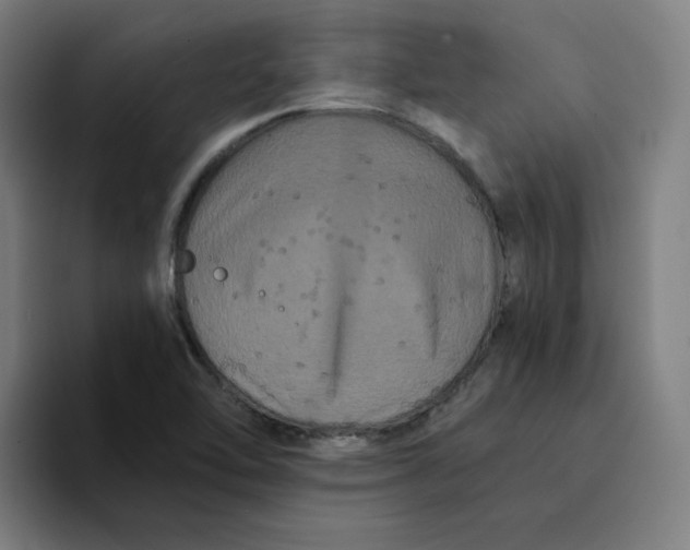 X0000094221462200711161839