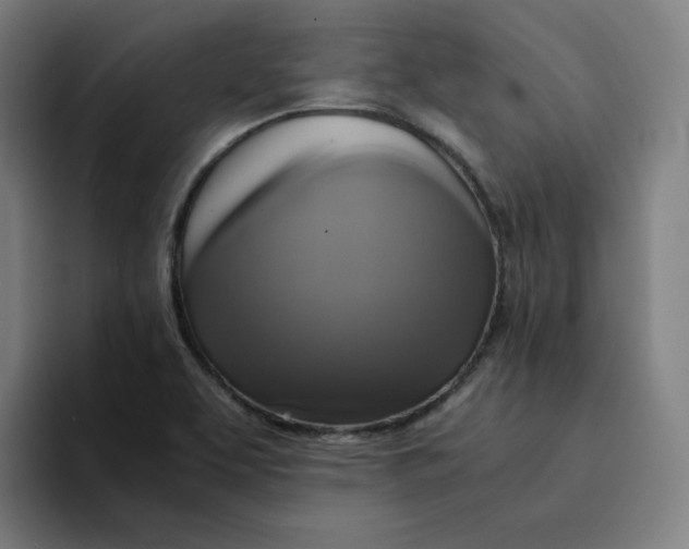 X0000094221463200711161839