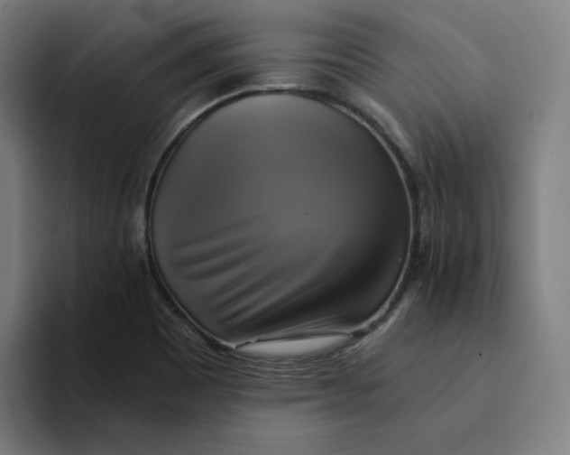 X0000094221465200711161839