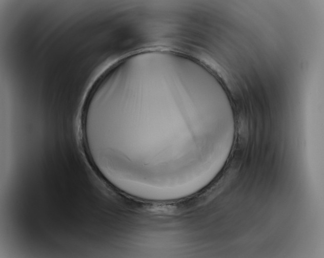 X0000094221466200711161839