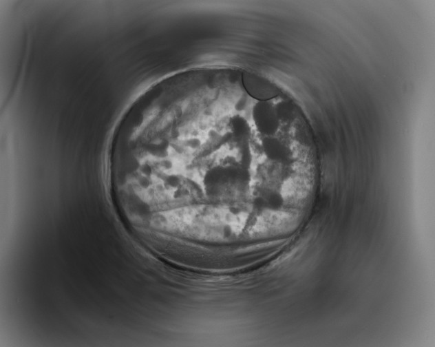 X0000094221467200711161839