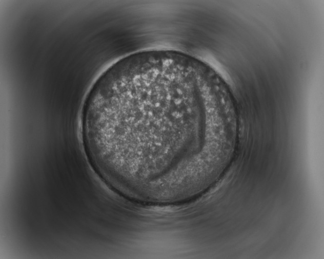 X0000094221468200711161839