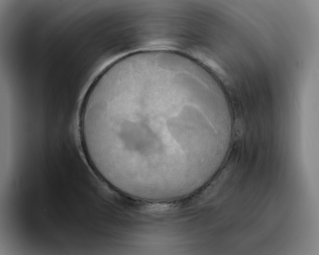 X0000094221470200711161839