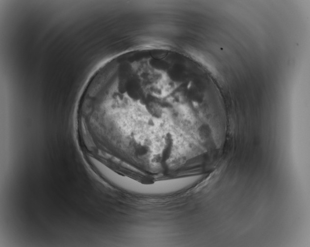 X0000094221471200711161839