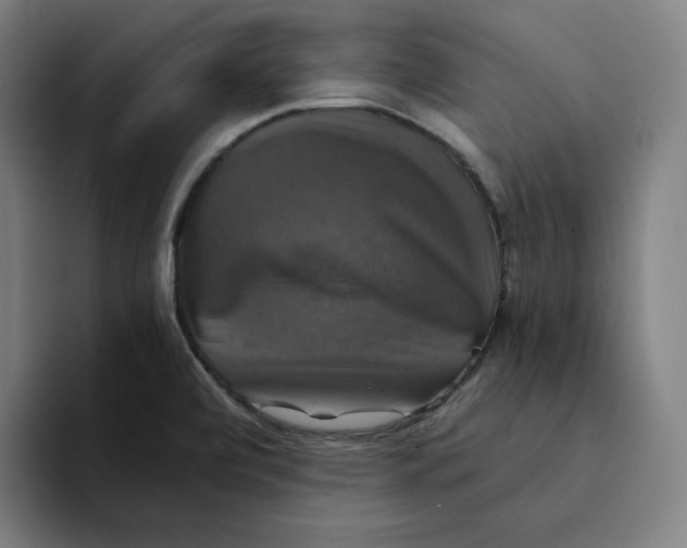 X0000094221472200711161839