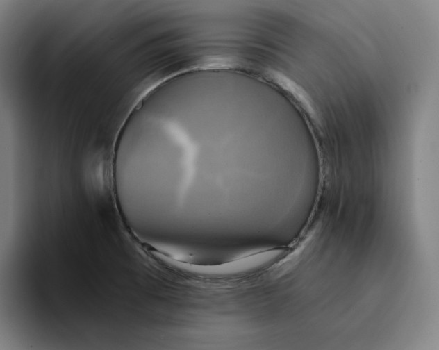 X0000094221473200711161839