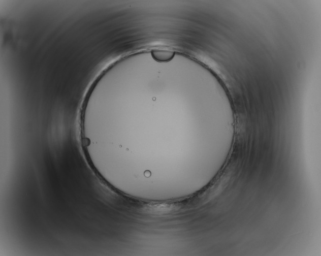 X0000094221474200711161839