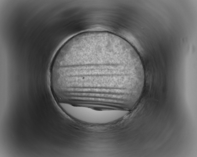 X0000094221476200711161839