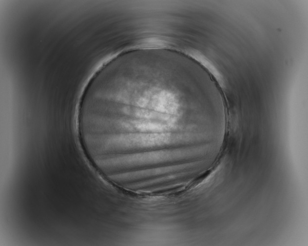 X0000094221477200711161839