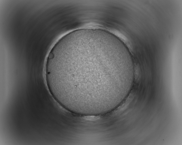 X0000094221478200711161839