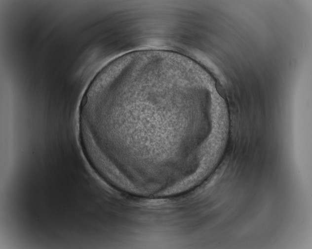 X0000094221479200711161839