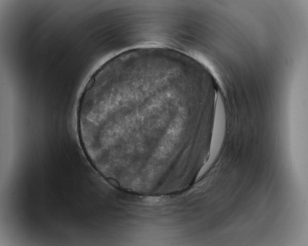 X0000094221480200711161839