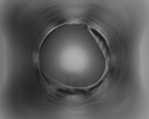 X0000094221481200711161839