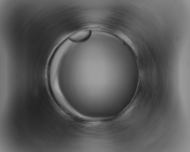 X0000094221482200711161839