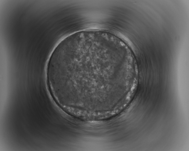 X0000094221483200711161839