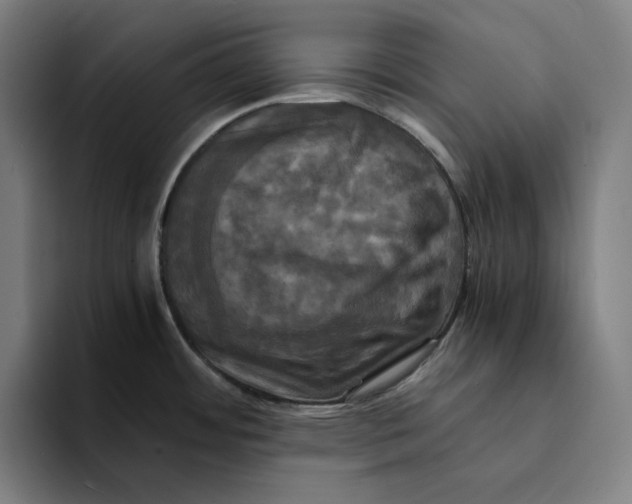 X0000094221484200711161839