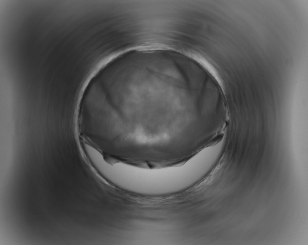 X0000094221485200711161839