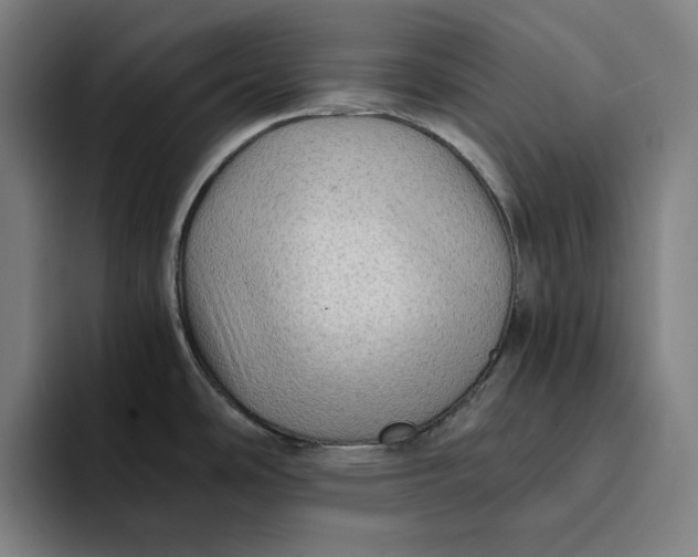 X0000094221486200711161839