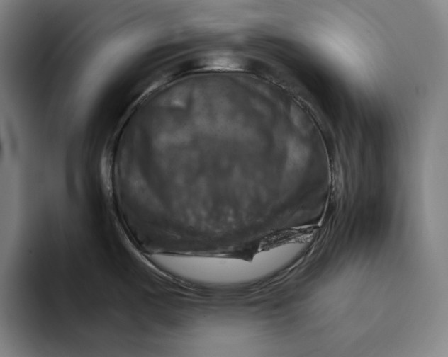 X0000094221487200711161839