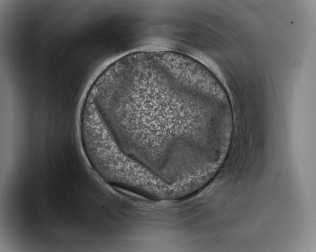 X0000094221488200711161839