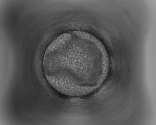 X0000094221489200711161838