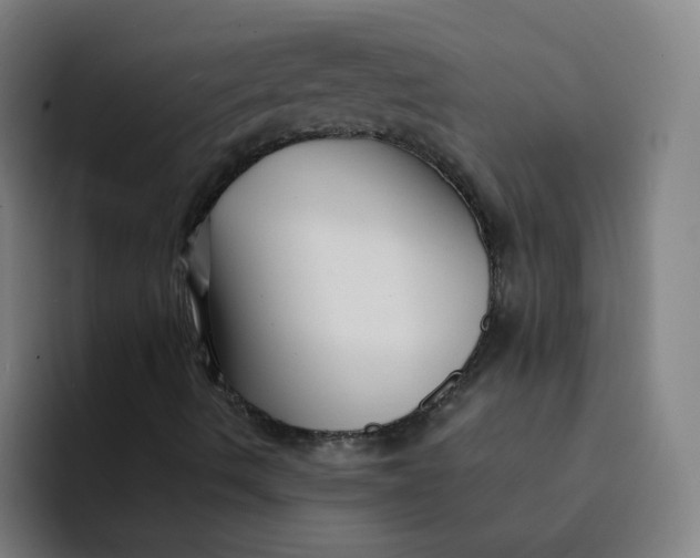 X0000094221490200711161838