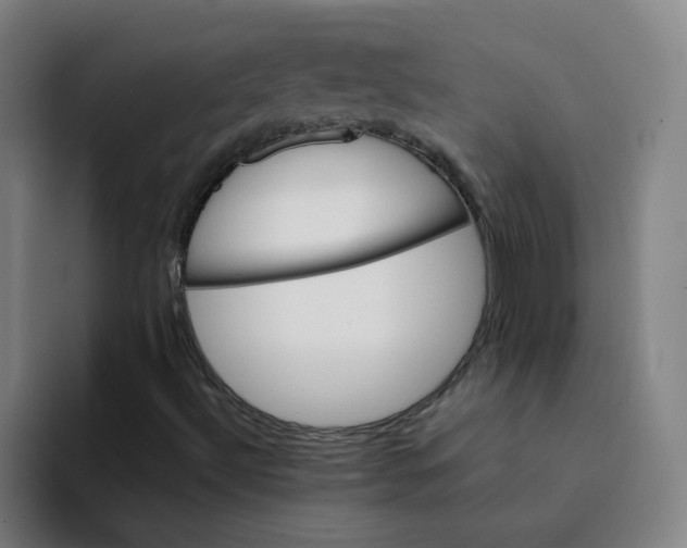 X0000094221492200711161838