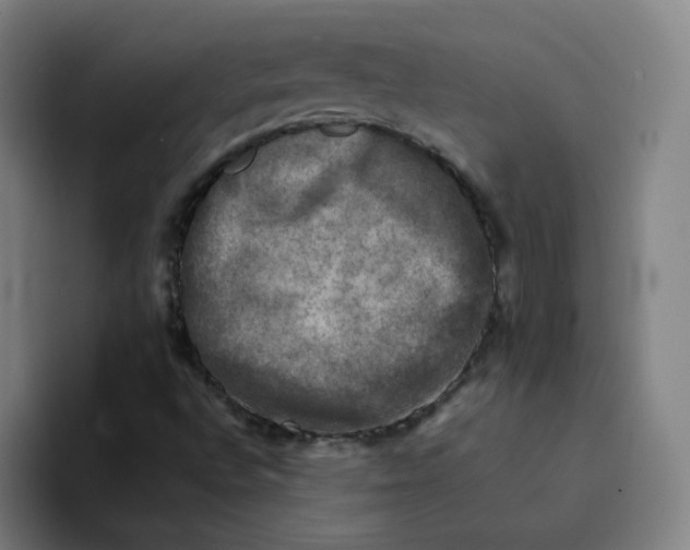 X0000094221496200711161838