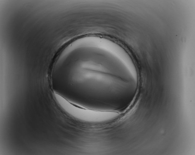 X0000094221497200711161838