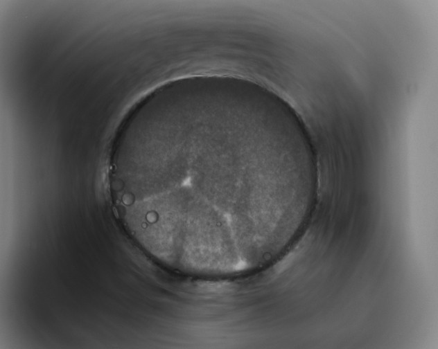 X0000094221498200711161838