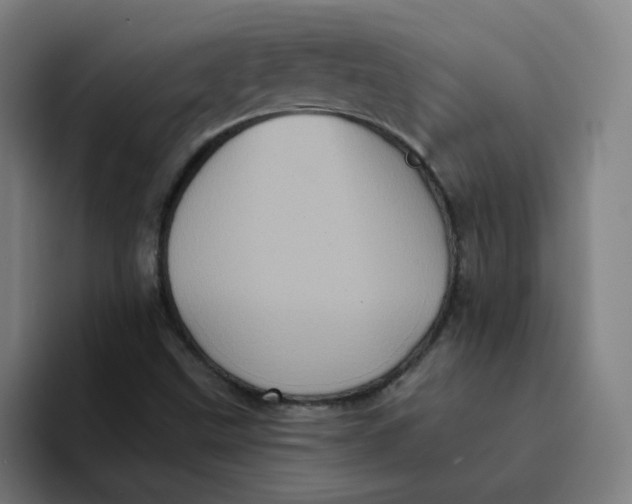 X0000094221499200711161838