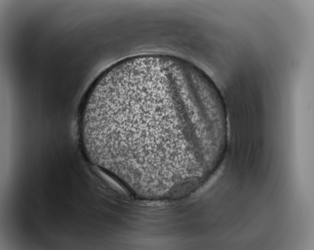 X0000094221501200711161838