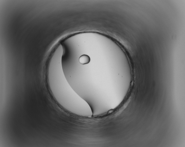 X0000094221502200711161838