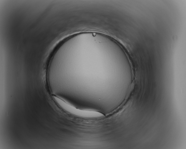 X0000094221503200711161838