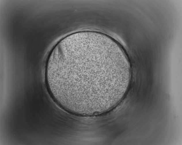 X0000094221504200711161838