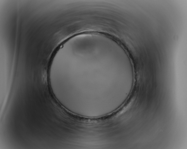 X0000094221505200711161838