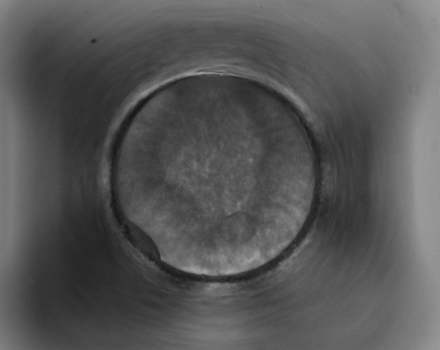 X0000094221506200711161838