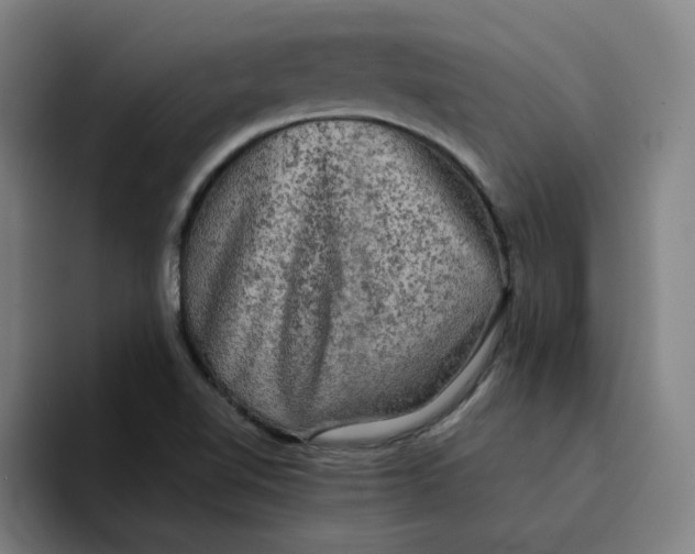 X0000094221510200711161838