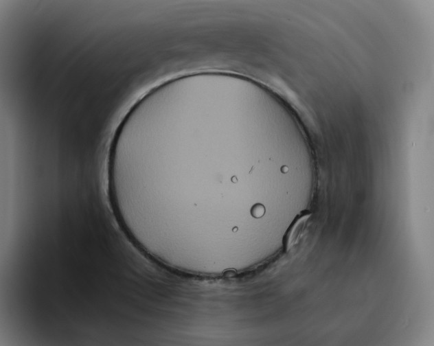 X0000094221512200711161838