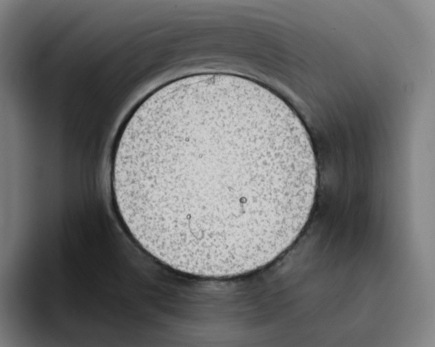 X0000094221514200711161838