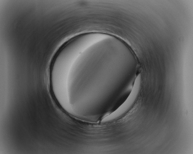 X0000094221515200711161838