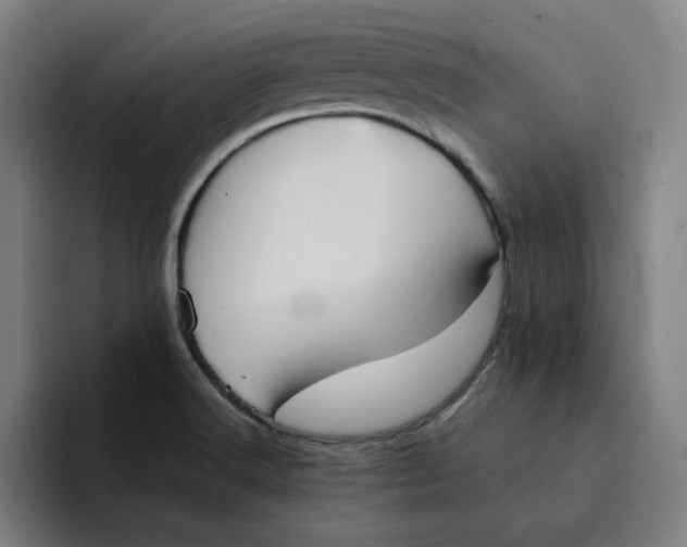 X0000094221516200711161838