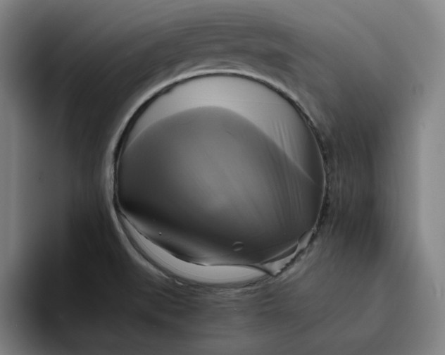 X0000094221519200711161838