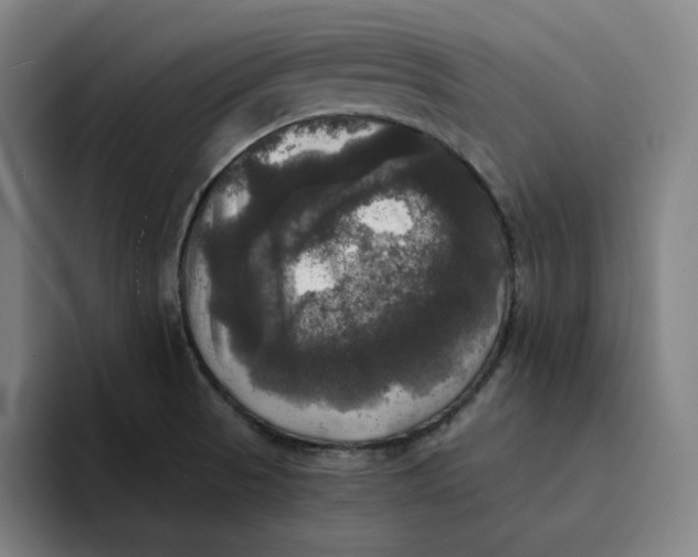 X0000094221521200711161838