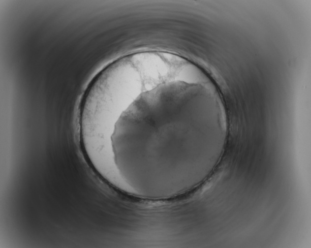 X0000094221522200711161838