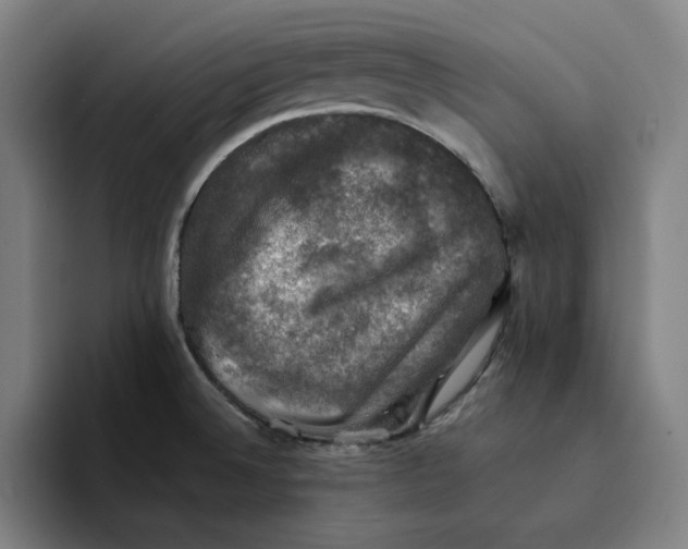 X0000094221524200711161838