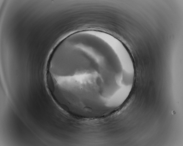 X0000094221525200711161838