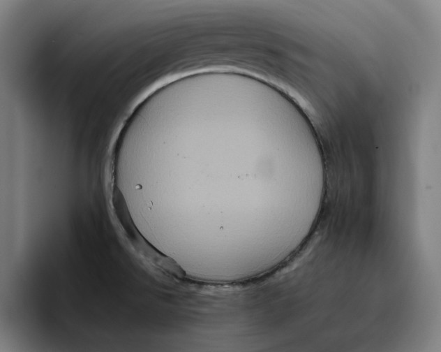 X0000094221526200711161838